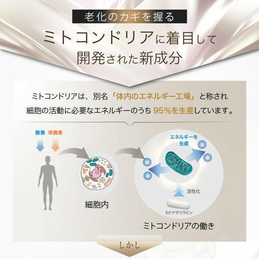 【定期便（2週間コース）】5デアザフラビン TND1128