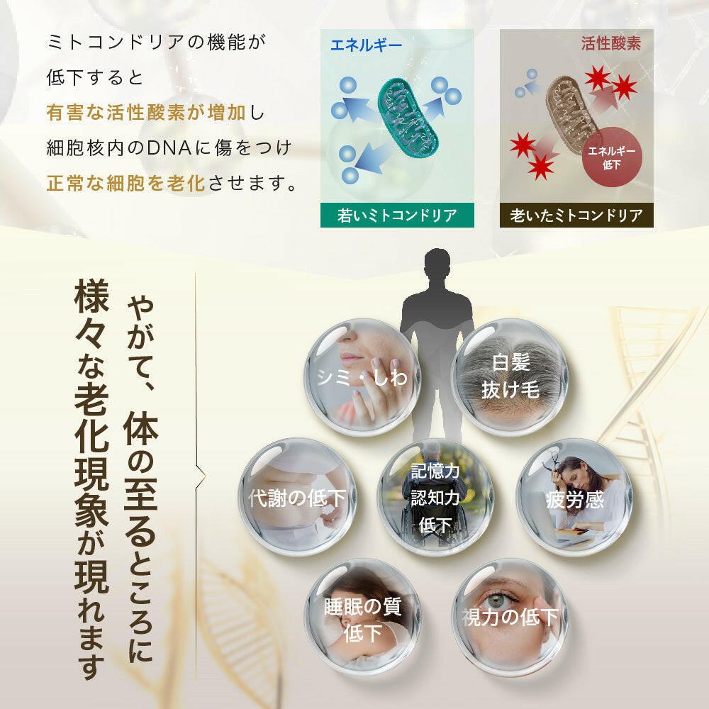 【定期便（1ヶ月コース）】5デアザフラビン TND1128