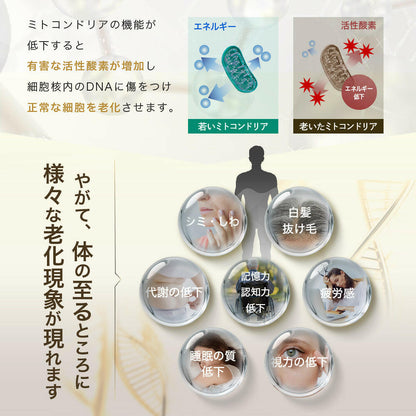 【定期便（1ヶ月コース）】5デアザフラビン TND1128