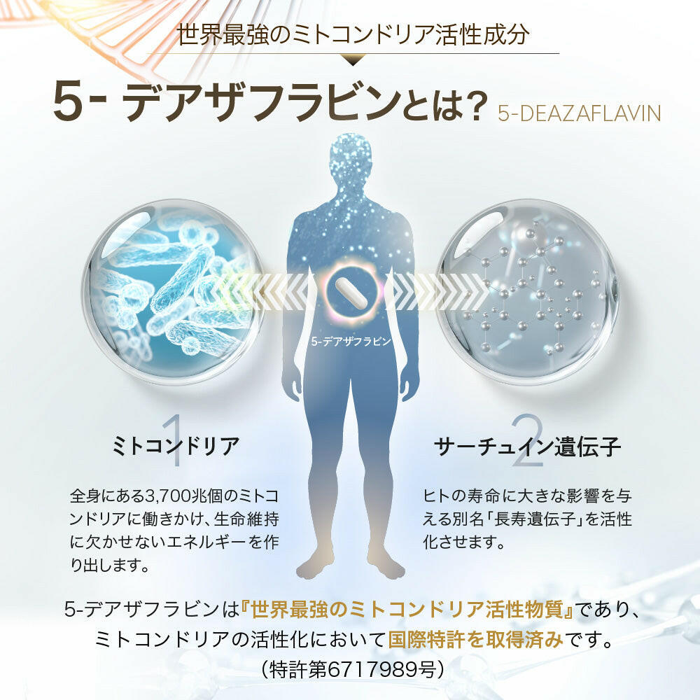 【定期便（1ヶ月コース）】5デアザフラビン TND1128