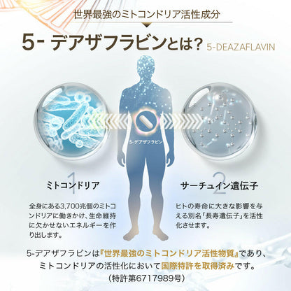 【定期便（1ヶ月コース）】5デアザフラビン TND1128