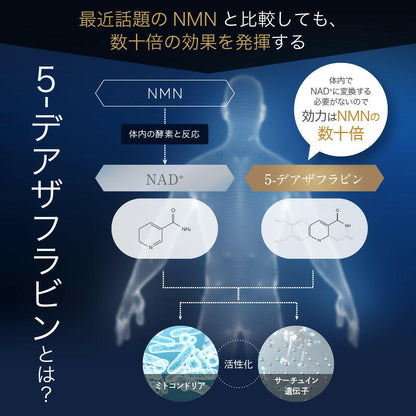 【定期便（1ヶ月コース）】5デアザフラビン TND1128