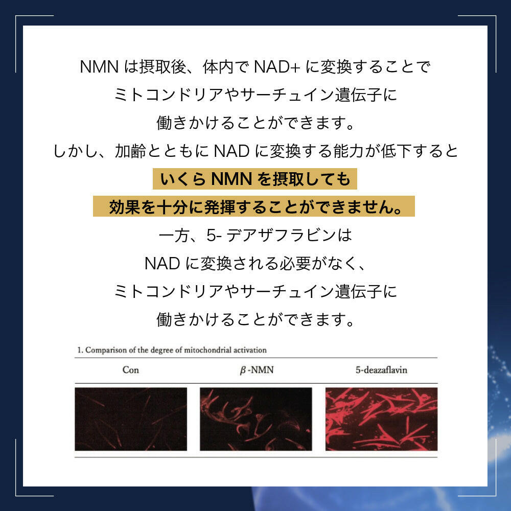 【定期便（1ヶ月コース）】5デアザフラビン TND1128