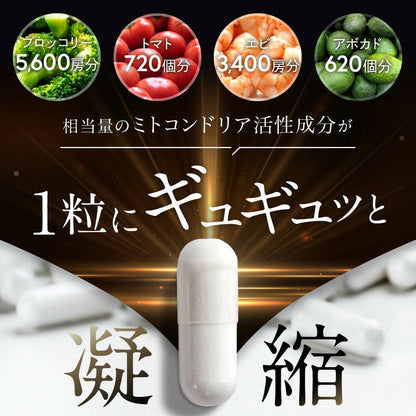 【定期便（1ヶ月コース）】5デアザフラビン TND1128